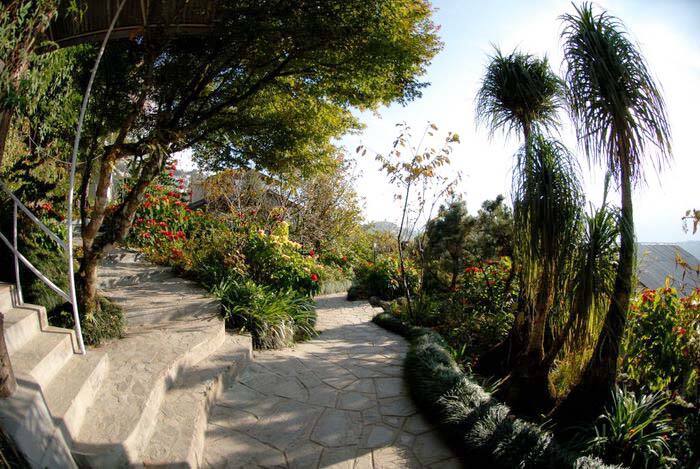 The Hidden Forest Retreat, Gangtok 3